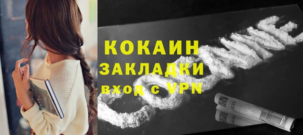 молекула духа Протвино