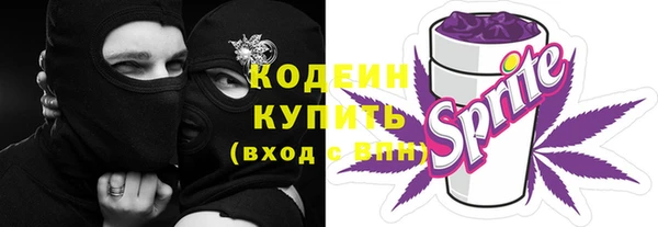 молекула духа Протвино