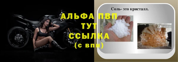 дживик Инта