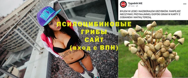 дмт Покровск